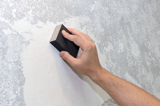 Best Attic Mold Removal  in Breckenridge, CO