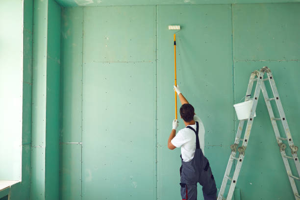 Best Water Damage & Mold Remediation  in Breckenridge, CO