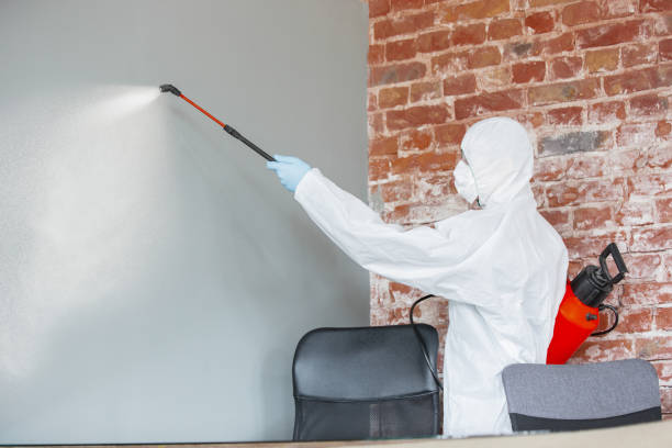 Best Mold Prevention Services  in Breckenridge, CO