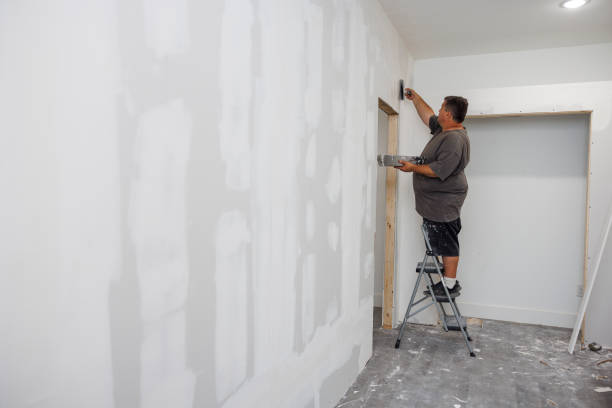 Best Crawl Space Mold Remediation  in Breckenridge, CO