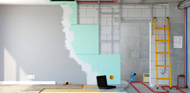 Reliable Breckenridge, CO Mold Removal Solutions
