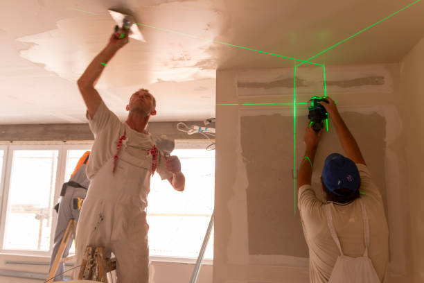 Best Mold Remediation for Healthcare Facilities  in Breckenridge, CO